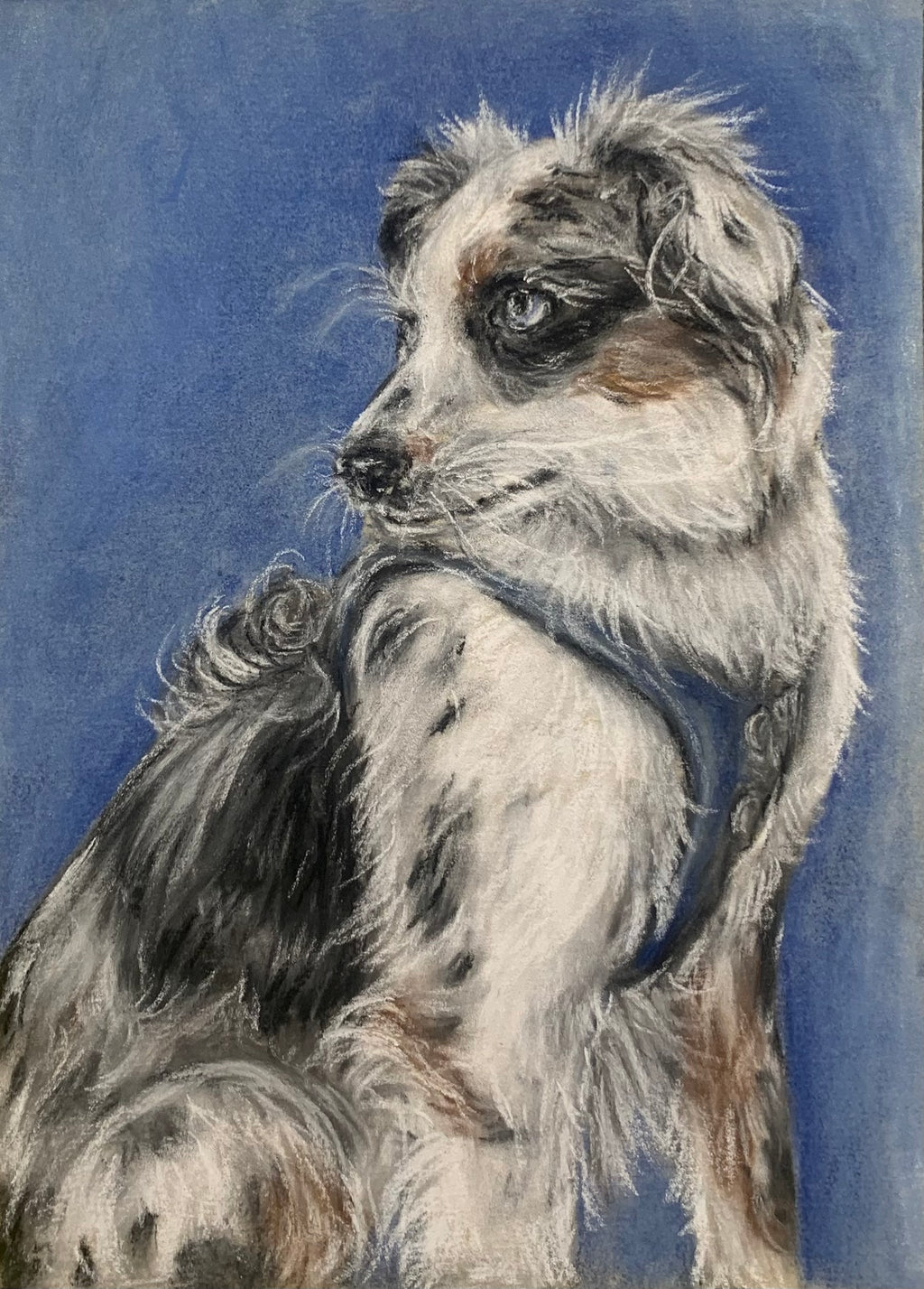 Custom Pet Portrait