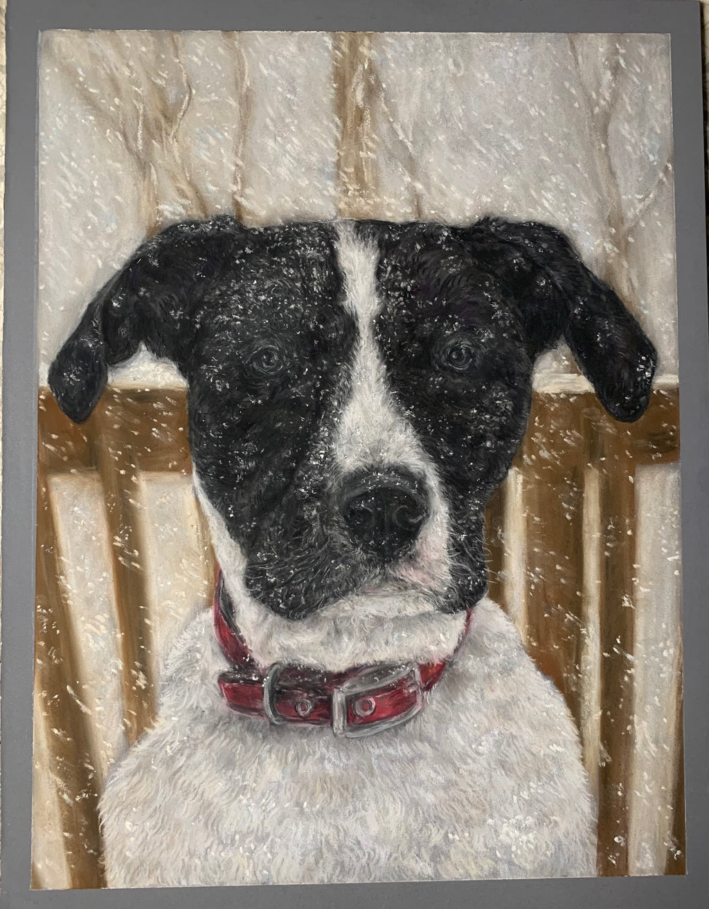 Custom Pet Portrait