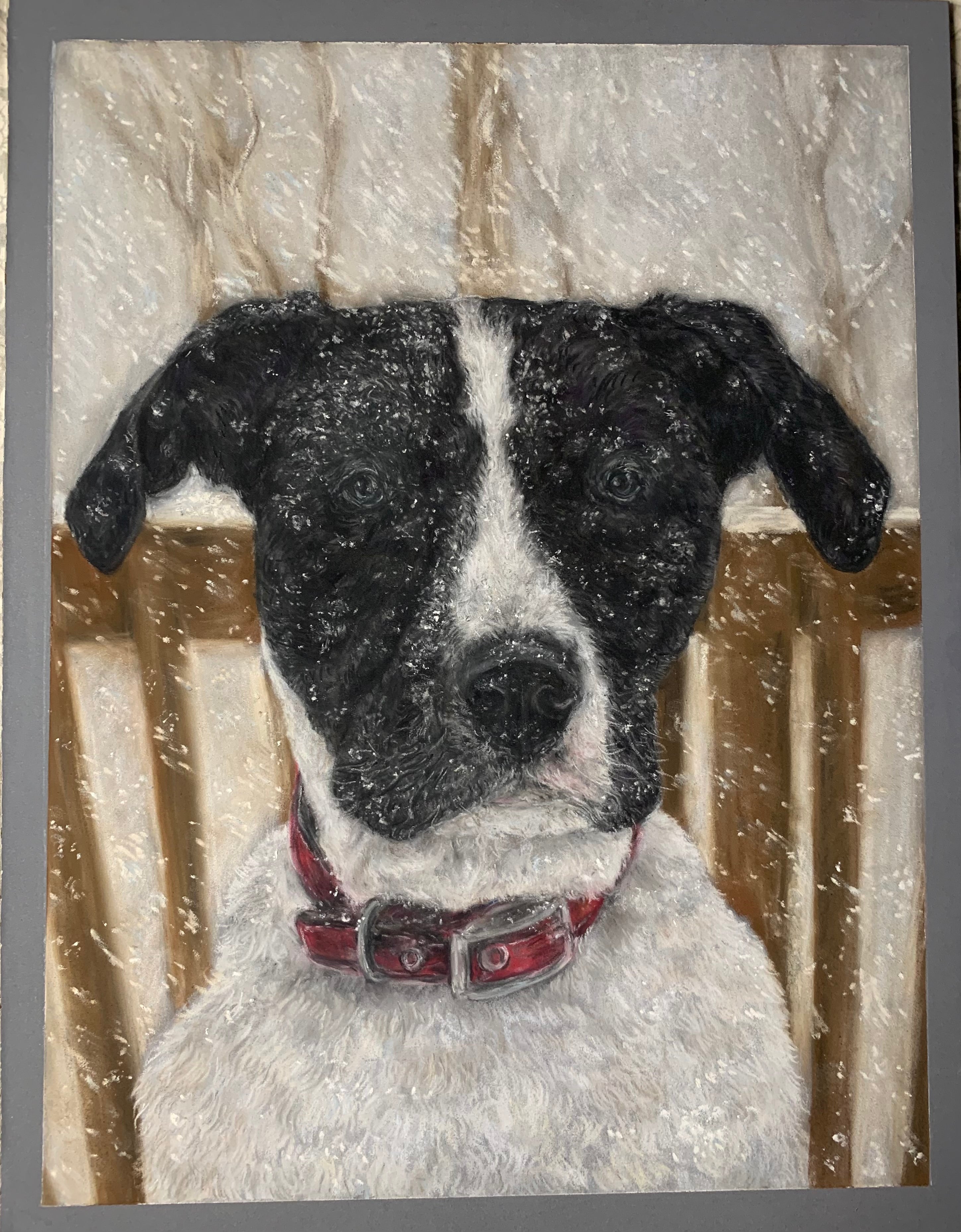 Custom Pet Portrait